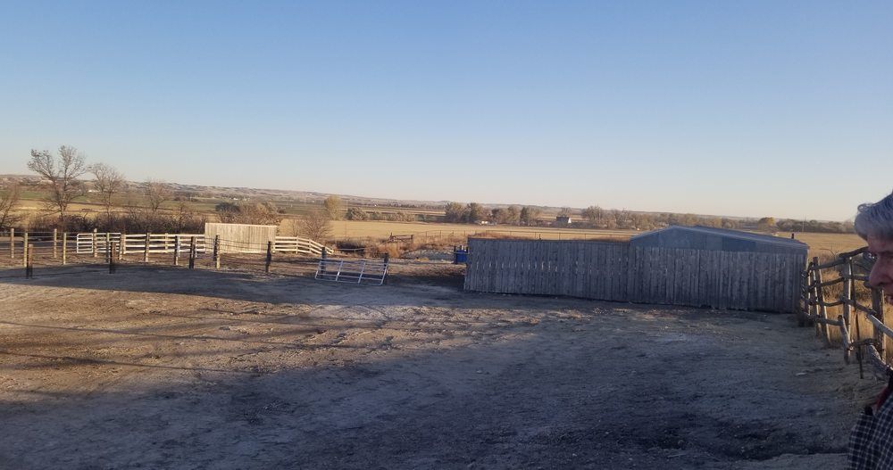 Montana Dream Property With Unlimited Options on 48+ Acres In Sidney: 12353 County Rd 348, Sidney, MT 59270